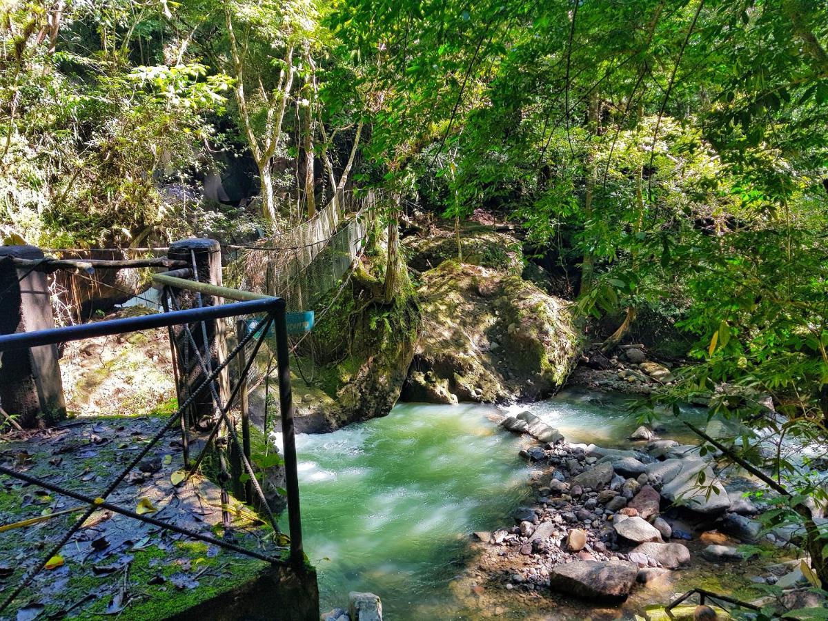 Tower Studio In The Treetops In Altos Del Maria Panama El Picacho Exteriör bild